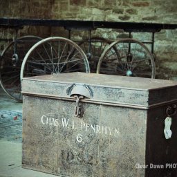 Autumn photo shoot with Elliot