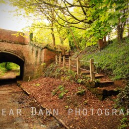 British weather isn’t all bad.